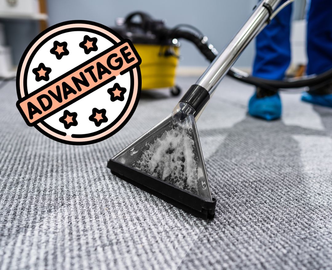 Advantages of Using Professional Carpet Cleaners