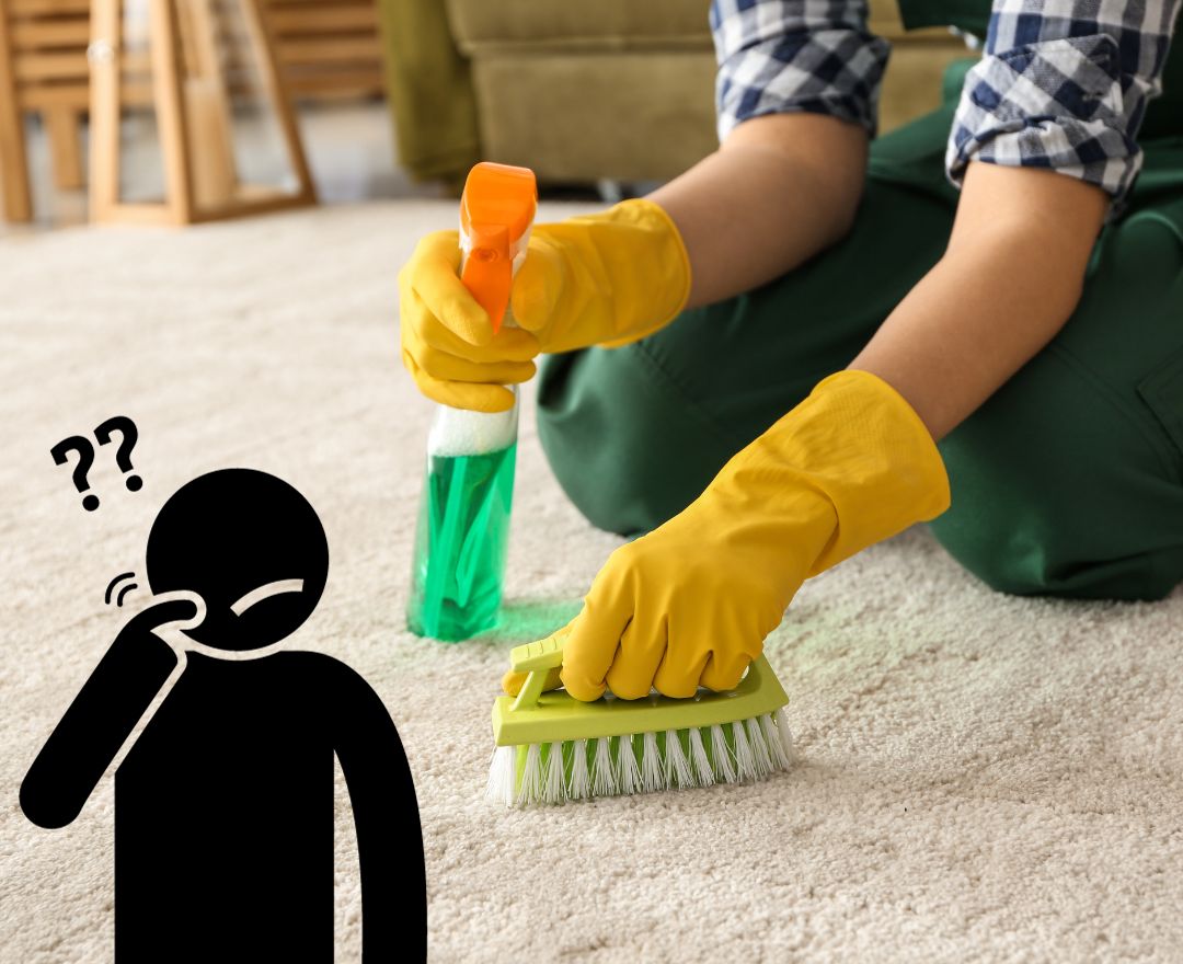 Frequently Asked Questions About Carpet Cleaning Services