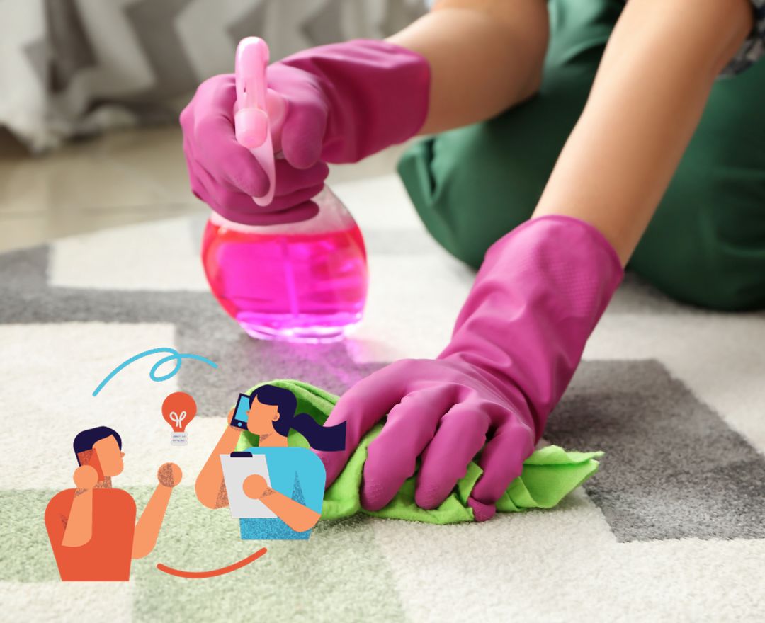 How to Get In Touch With an Experienced Carpet Cleaner in Auckland