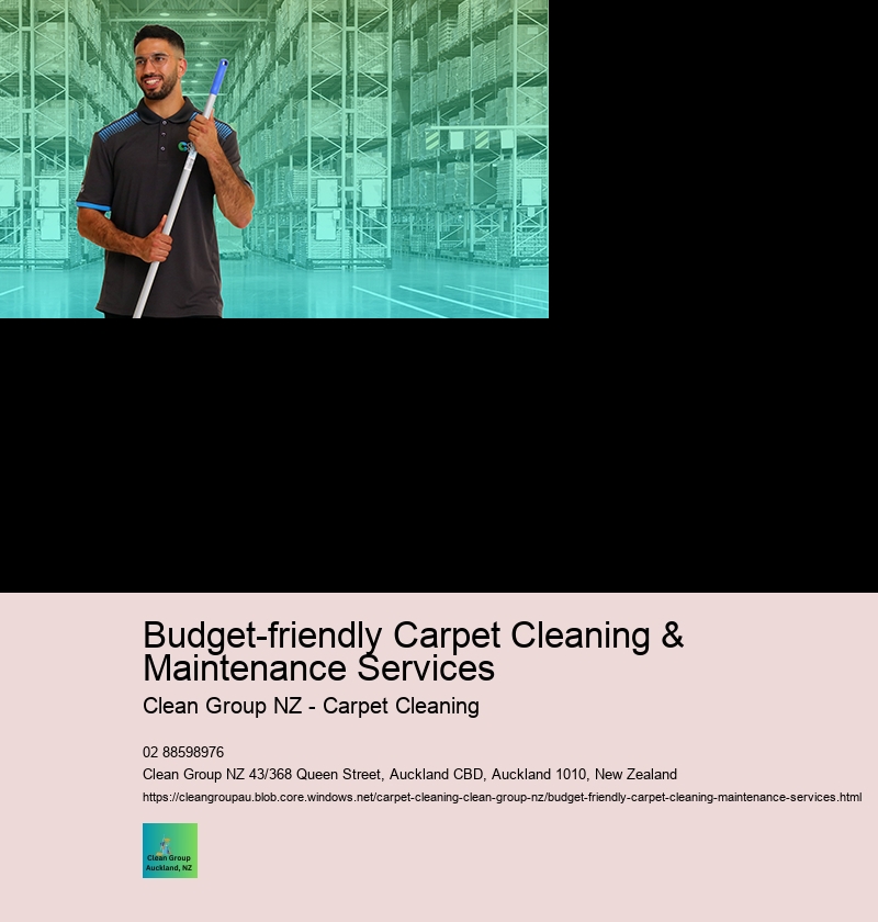 what are the safety measures followed by carpet cleaners in auckland during the service?