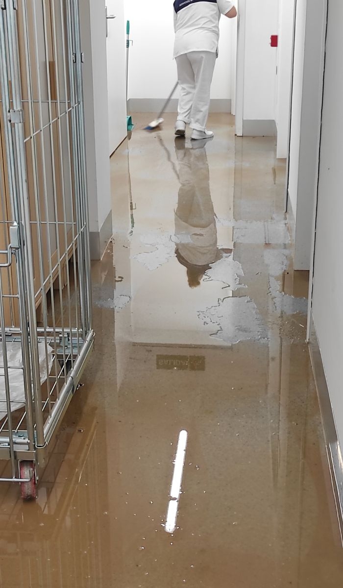 Satisfaction Guaranteed with Every Cleaning