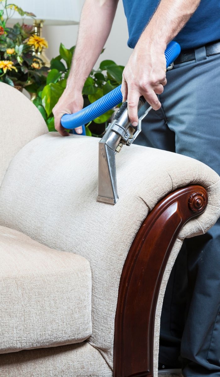 Importance of Professional Cleaning Services