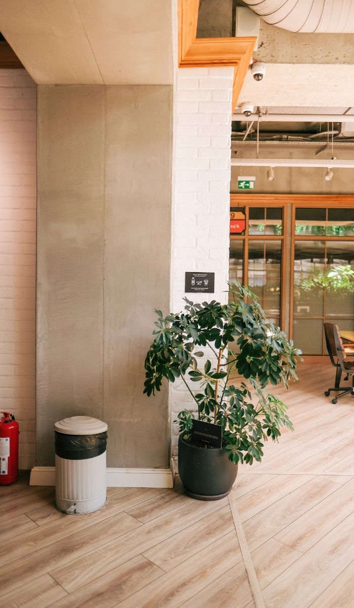 Tailored Cleaning Solutions for Every Industry