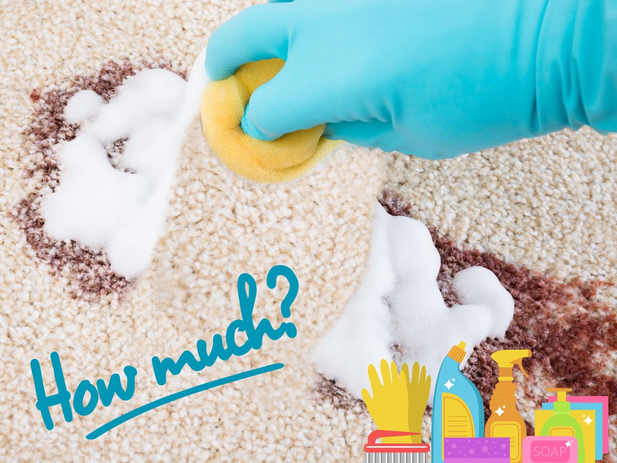How Much Should I Pay for Commercial Carpet Cleaning