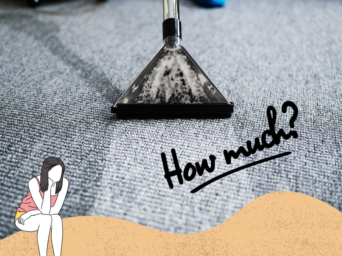 How Much is Possible to Make in a Day Cleaning Carpets Either Residential or Commercial