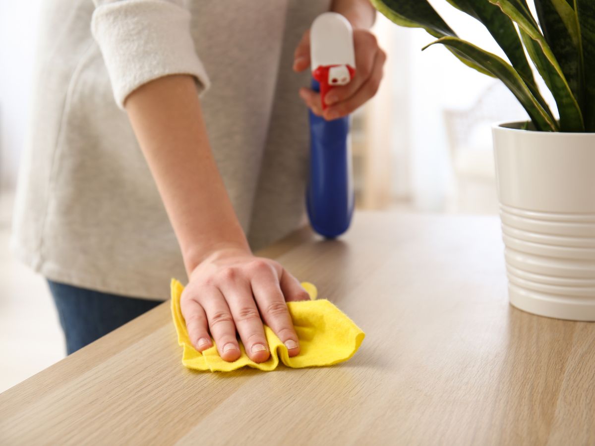 What is commercial cleaning skill?