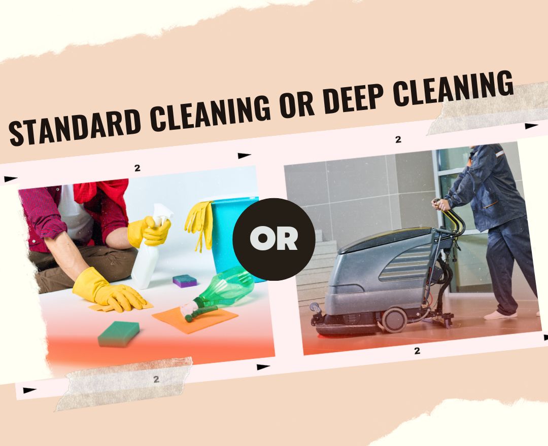 What is Standard Cleaning vs Deep Cleaning