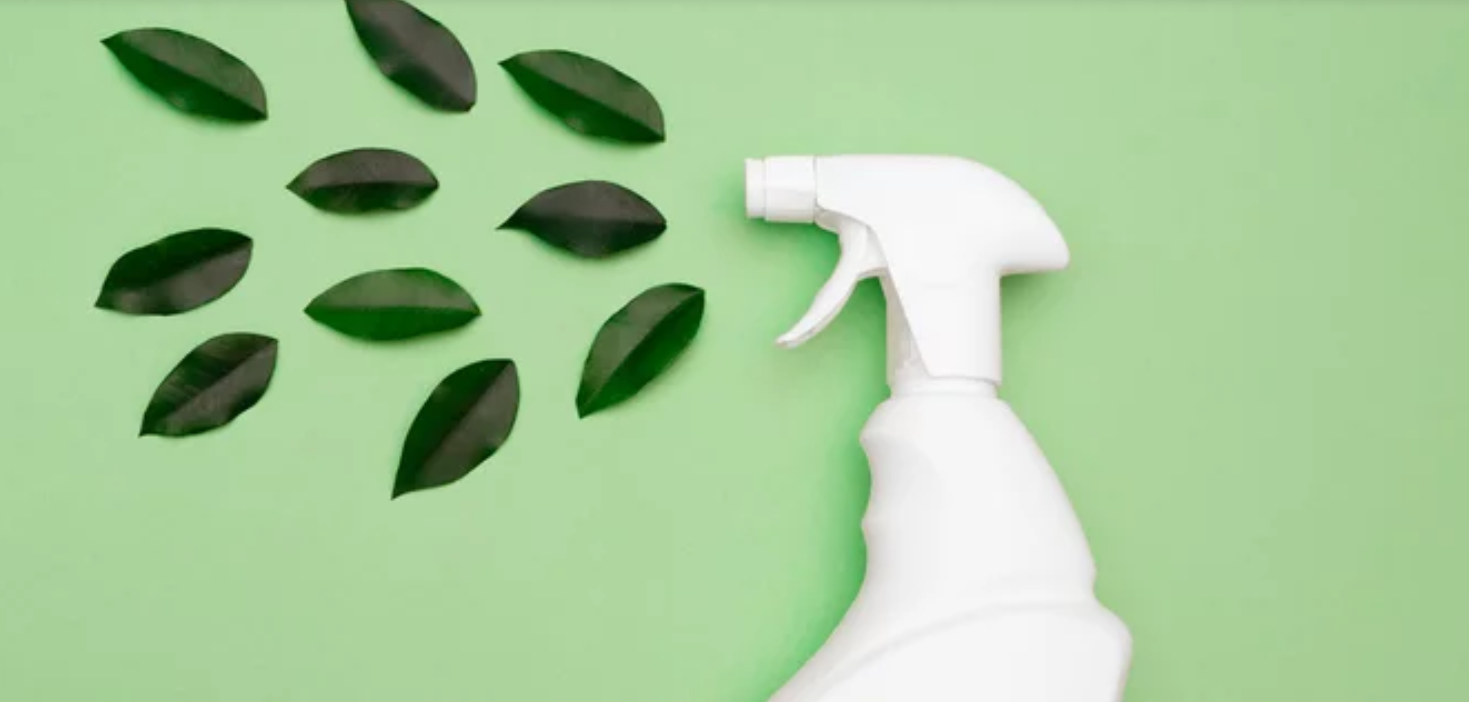 The 10 Best Eco Friendly Cleaning Products For A Sparkling Home